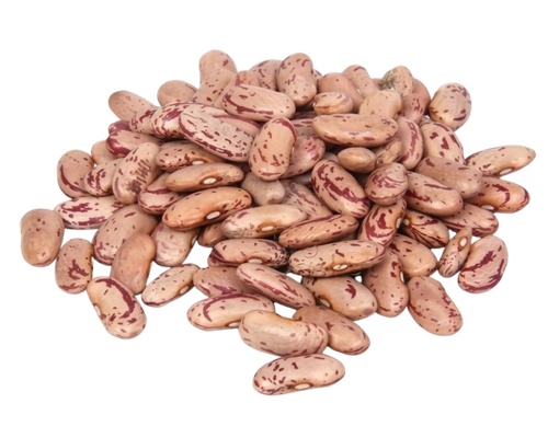 Rajma Chitra